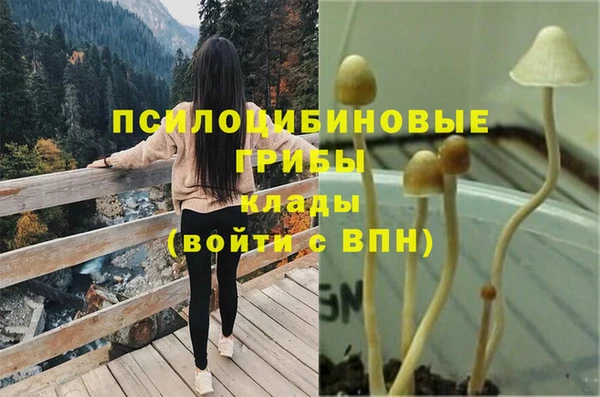 mdma Горнозаводск