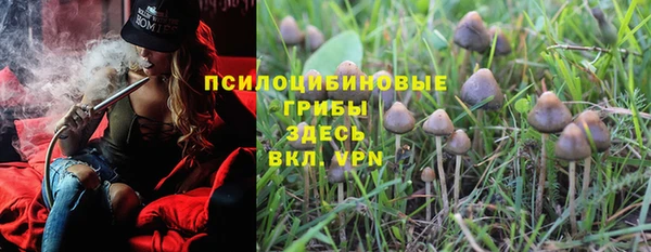 mdma Горнозаводск