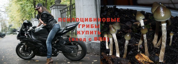 мескалин Горно-Алтайск