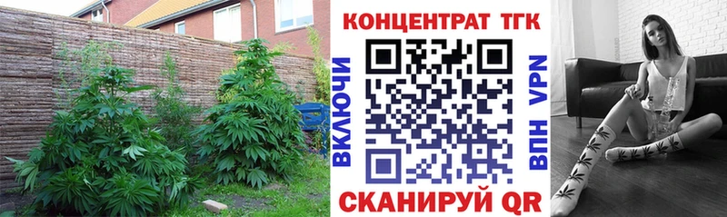 ТГК вейп  где купить   Далматово 