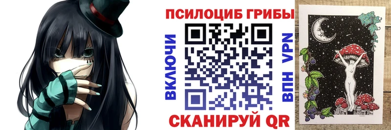 дарк нет состав  Далматово  Псилоцибиновые грибы мицелий  где продают наркотики 